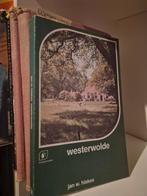 Westerwolde - Jan W. Hiskes - Triangelreeks, Ophalen of Verzenden, Gelezen, Jan W. Hiskes, Groningen