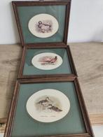 Vintage 3 jacht jagers schilderijtjes snip- eend- fazanten, Huis en Inrichting, Minder dan 50 cm, Ophalen of Verzenden, Zo goed als nieuw