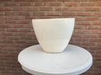INTRATUIN grote pot steen creme, Ophalen of Verzenden