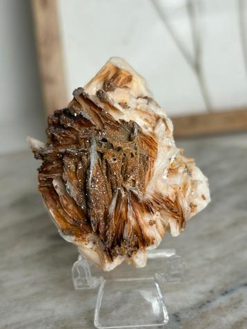 Bariet beschikbaar voor biedingen