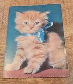 Kitten met strikje om, Verzenden, Ongelopen