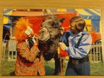 Ansichtkaart Bassie & Adriaan - 1978 - Kaart 2, Verzenden, 1960 tot 1980, Ongelopen, Sterren en Beroemdheden