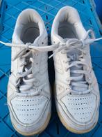 Nike tennisschoenen maat 40,5 of usa 7,5, Gebruikt, Nike, L00, Schoenen