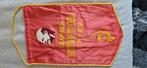 Vlag/vaantje van lenin 33x21, Ophalen of Verzenden, Zo goed als nieuw