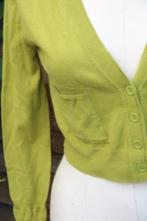 Vest groen Caroline Biss mt 36 Vaste prijs AANBIEDING, Kleding | Dames, Truien en Vesten, Ophalen of Verzenden, Zo goed als nieuw