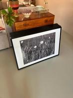 5x Ikea Ribba fotolijsten 90x60 met ophangsysteem, Huis en Inrichting, Woonaccessoires | Lijsten, Ophalen, Zo goed als nieuw, 75 cm of meer