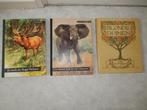 15 plaatjesalbums Thysse Verkade etc 1926-1962 5 stripboeken, Antiek en Kunst, Antiek | Boeken en Bijbels, Ophalen of Verzenden