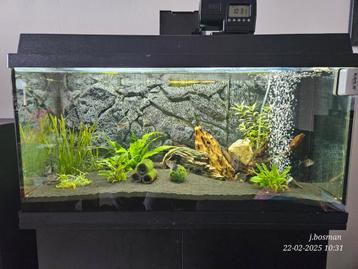 Gezocht gratis aquarium, vissen, plantjes en toebehoren  beschikbaar voor biedingen