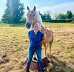 Paarden/pony , Verzorger / verzorgster gezocht 16+!!, Dieren en Toebehoren, Paarden en Pony's | Overige Paardenspullen, Ophalen of Verzenden