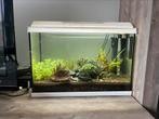 Aquarium 60/40/30 compleet!!! Alleen bodem al 55 euro!!!, Ophalen