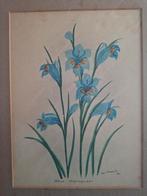 Blue Africander (sic). Dan Roberts. 1933, Antiek en Kunst, Ophalen of Verzenden