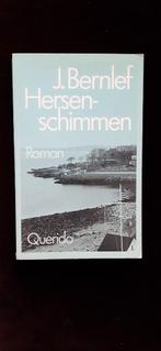 J.bernlef  Hersenschimmen, Boeken, Ophalen of Verzenden, Gelezen, J.Bernlef, Nederland