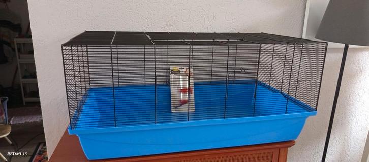 Kooi, Dieren en Toebehoren, Knaagdieren en Konijnen | Hokken en Kooien, Zo goed als nieuw, Kooi, Minder dan 60 cm, 75 tot 110 cm