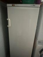 Diepvriezer - Vrieskast Miele, Witgoed en Apparatuur, Vriezers en Diepvrieskisten, Gebruikt, Minder dan 60 cm, 160 cm of meer