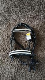 Hoofdstel maat cob, Dieren en Toebehoren, Paarden en Pony's | Hoofdstellen en Tuigage, Ophalen of Verzenden, Nieuw, Overige soorten