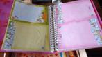 Diddl verzameling met diverse artikelen, Verzamelen, Diddl, Ophalen of Verzenden, Diddl, Zo goed als nieuw, Papier, Kaart of Schrift