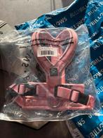 Ytuig bully billows maat 4 roze, Dieren en Toebehoren, Ophalen of Verzenden, Nieuw