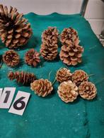 dennenappels 18 stuks klein en groot [b115], Diversen, Kerst, Ophalen of Verzenden