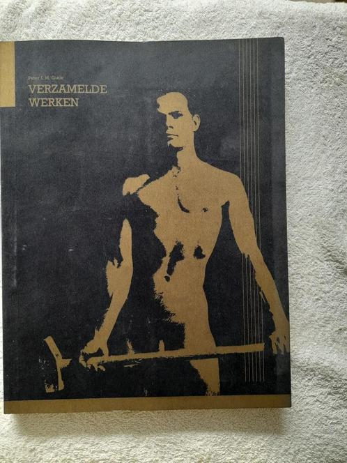Verzamelde werken, Boeken, Kunst en Cultuur | Beeldend, Zo goed als nieuw, Schilder- en Tekenkunst, Ophalen of Verzenden