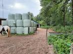Vol pension, inloopstal, paddocks, wei, bak, ruin, Dieren en Toebehoren, Stalling en Weidegang, Weidegang
