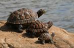 Kunst Schildpad / Tuin Decoratie Dier Simulatie Vijver Beeld, Tuin en Terras, Tuinbeelden, Verzenden, Nieuw, Dierenbeeld