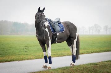 4 dekjes full dressuur + blauwe bandages beschikbaar voor biedingen