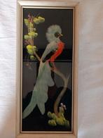 Vintage vogelportret met veren in een lijstje, vogel lijst, Ophalen of Verzenden