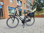 Elekterische Victesse moederfiets met kinderzitje, Gebruikt, Info@fictesse.nl, Ophalen of Verzenden, Fictesse