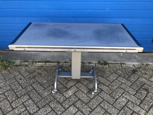 Veterinaire behandeltafel verrijdbaar met RVS blad, Diversen, Braces