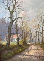Groot landschap door Emiel Decraene, “Naert”, Ophalen