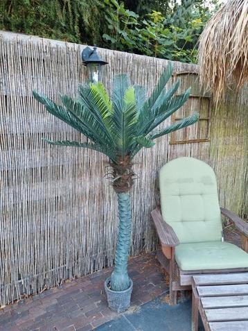 Palmboom- Kunst. Nieuw. beschikbaar voor biedingen