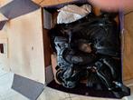 Skeelers / skates fila, maat 42 heren, met toebehoren, Heren, Zo goed als nieuw, Inline skates 4 wielen, Ophalen