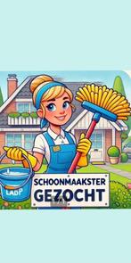 Schoonmaakster, Schoonmaken