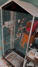 4 mooie cocktail vogels, Dieren en Toebehoren, Ophalen, Metaal, Vogelkooi