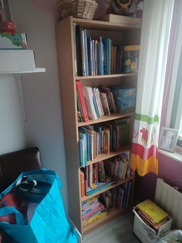Boekenkast met boeken, boeken erbij dus beschikbaar voor biedingen