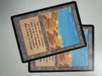 2x Desert Arabian Nights, Hobby en Vrije tijd, Verzamelkaartspellen | Magic the Gathering, Ophalen of Verzenden, Zo goed als nieuw