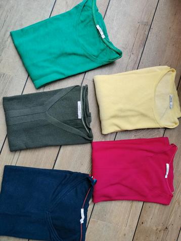 5 Cecil truien korte mouw maat L - ZGAN beschikbaar voor biedingen