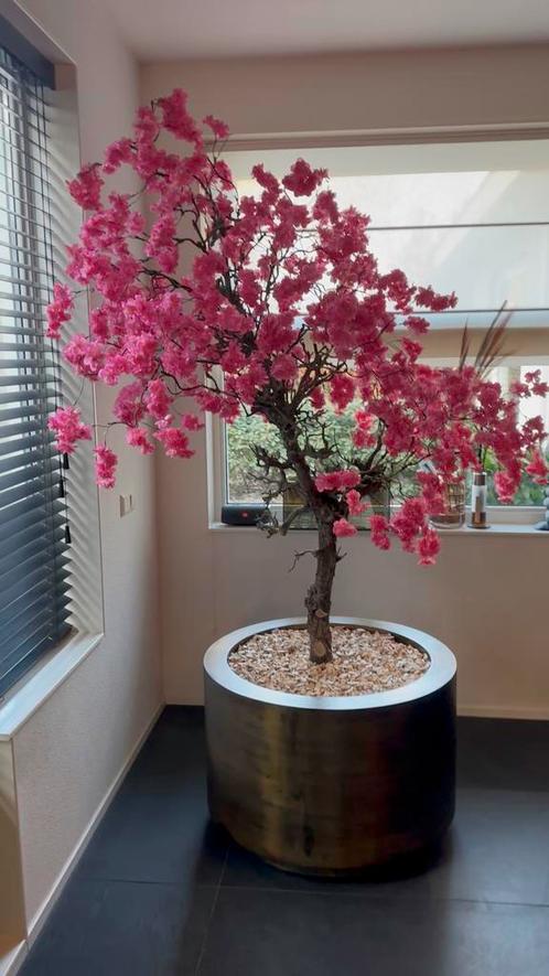 Elegante bloesemboom, echte houten stam, voet van beton, Huis en Inrichting, Woonaccessoires | Kunstplanten en Kunstbloemen, Nieuw