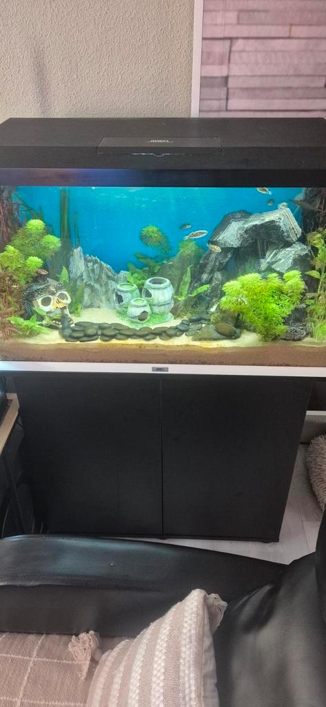 Jewel 125 Liter aquarium met meubel en meer moet zsm weg, Dieren en Toebehoren, Vissen | Aquaria en Toebehoren, Gebruikt, Leeg aquarium
