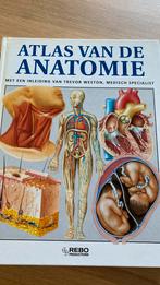 Atlas van de anatomie, Ophalen of Verzenden, Zo goed als nieuw