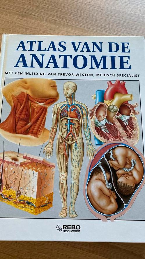 Atlas van de anatomie, Boeken, Wetenschap, Zo goed als nieuw, Ophalen of Verzenden