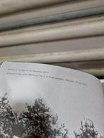 aviateurs van het eerste uur, boek, Boeken, Ophalen of Verzenden