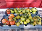 Droogkratten voor walnoten, kastanjes en appels, Ophalen, Zo goed als nieuw, Overige typen