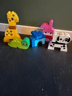 Complete set Duplo, Ophalen of Verzenden, Zo goed als nieuw, Duplo