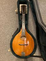 The Gibson Mandoline A model 1920 Origineel en mooie staat, Muziek en Instrumenten, Snaarinstrumenten | Mandolines, Ophalen, Gebruikt
