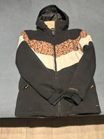 Ski set: Protest jas & Brunotti broek, maat 176, Kinderen en Baby's, Kinderkleding | Maat 176, Ophalen of Verzenden