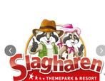 Tickets slagharen, Tickets en Kaartjes, Drie personen of meer, Ticket of Toegangskaart