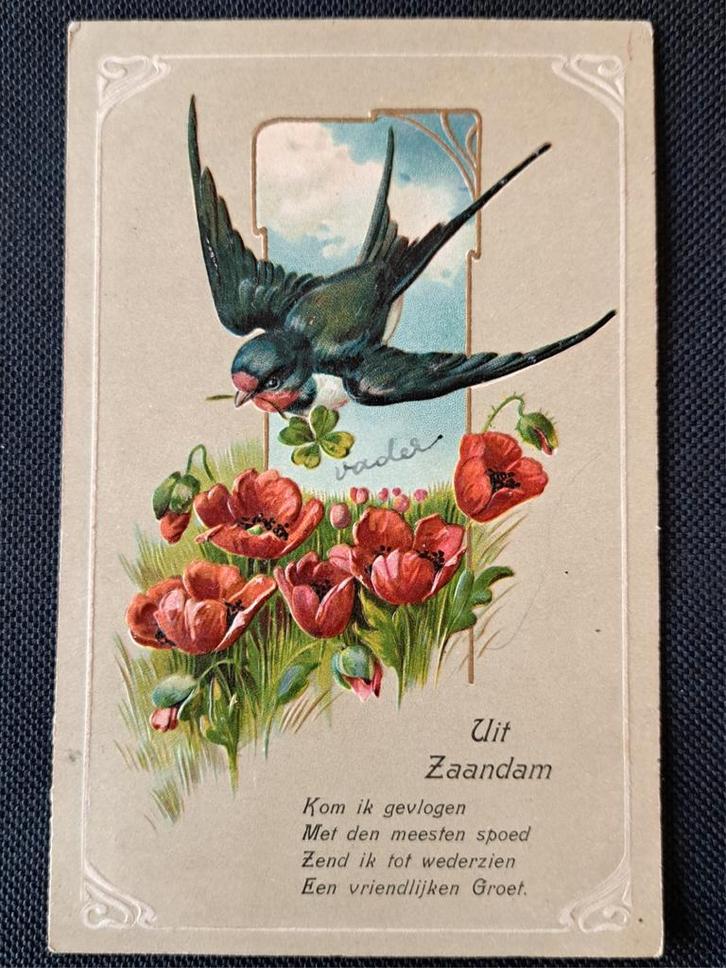 Prachtige reliëf kaart - Uit Zaandam - 24-10-1906, Verzamelen, Ansichtkaarten | Nederland, Noord-Holland, Voor 1920, Ophalen of Verzenden