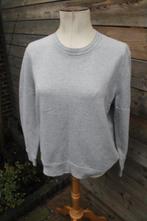 Trui grijs glinster Massimo Dutti mt L Vaste prijs, Kleding | Dames, Truien en Vesten, Massimo Dutti, Maat 42/44 (L), Ophalen of Verzenden
