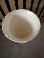 Witte / crème kleurige Wedgwood Vaas, Gebruikt, Verzenden, Wit, Aardewerk of Porselein